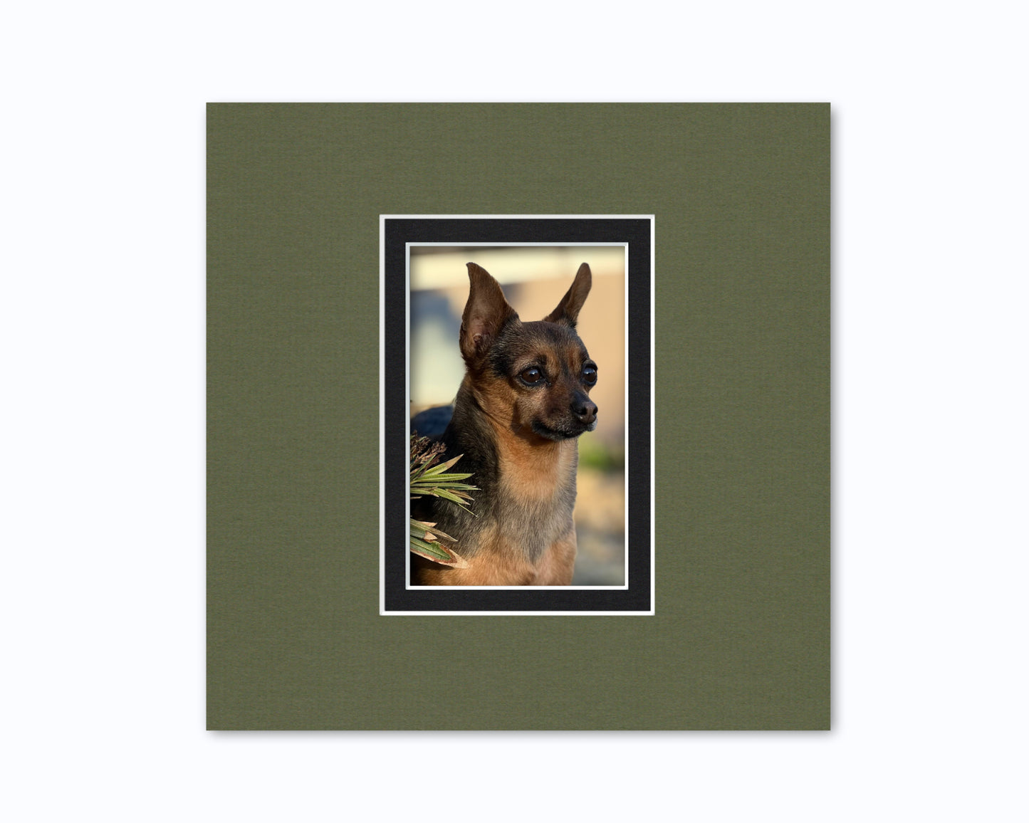 An example of what this 10x10 double mat looks like with a 4x6 photo in it.