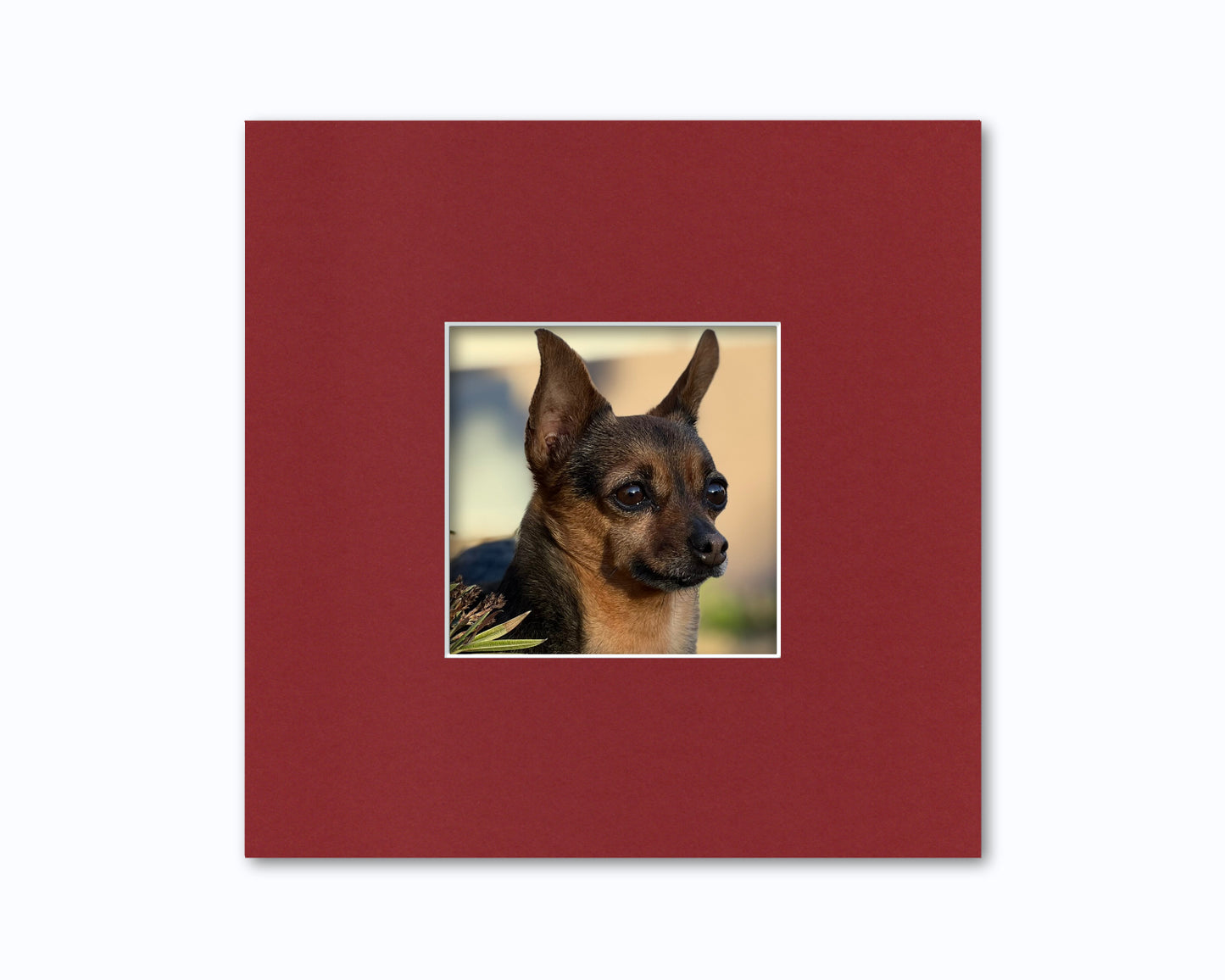 An example of what this 10x10 square mat looks like with a 5x5 photo in it.