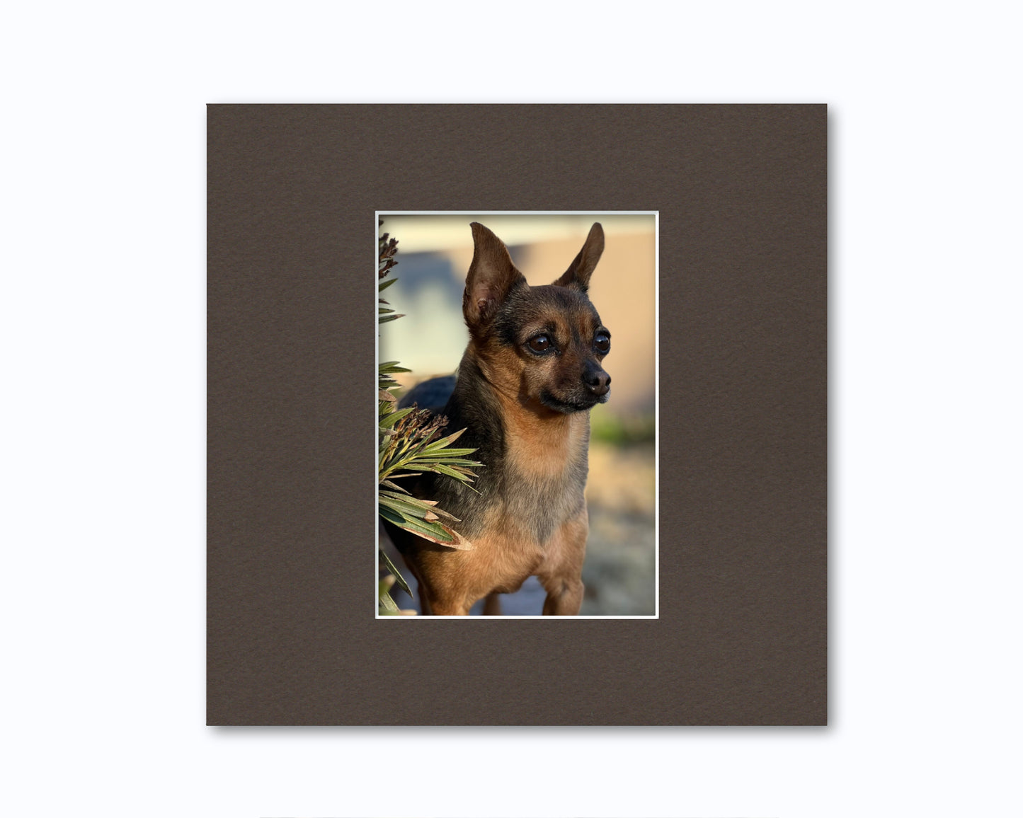 An example of what this 10x10 mat looks like with a 5x7 photo in it.