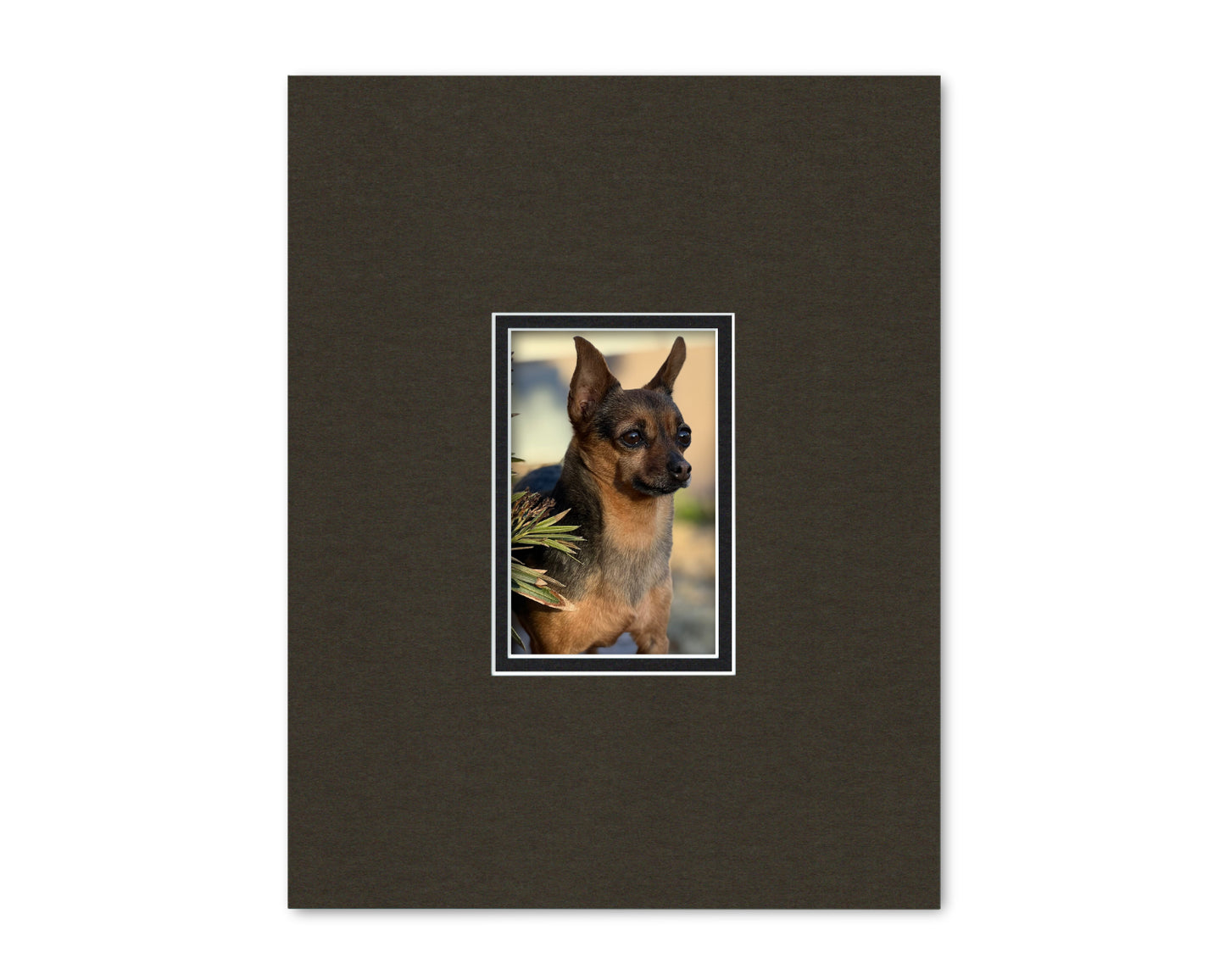 An example of what this 11x14 double mat looks like with a 4x6 photo in it.
