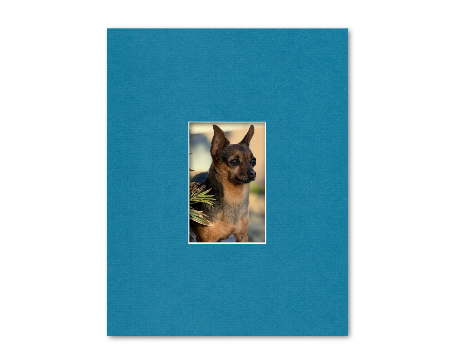An example of what this 11x14 mat looks like with a 4x6 photo in it.