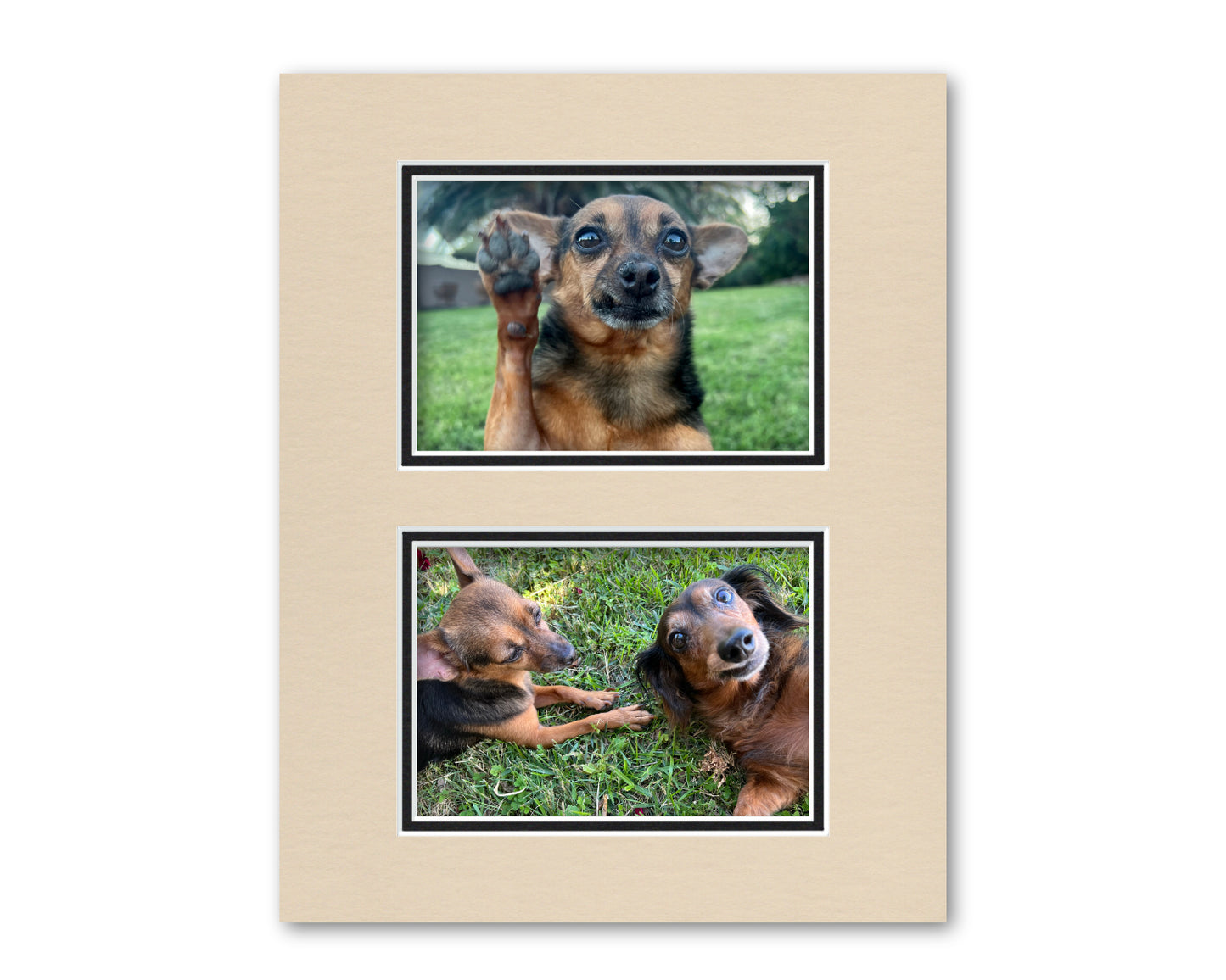 An example of what this 11x14 collage double mat looks like with two 5x7 photos in it.