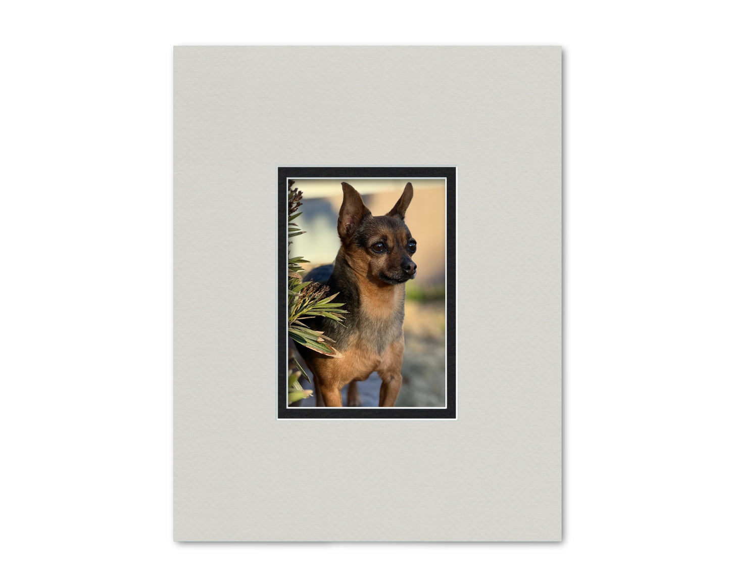 An example of what this 11x14 double mat looks like with a 5x7 photo in it.