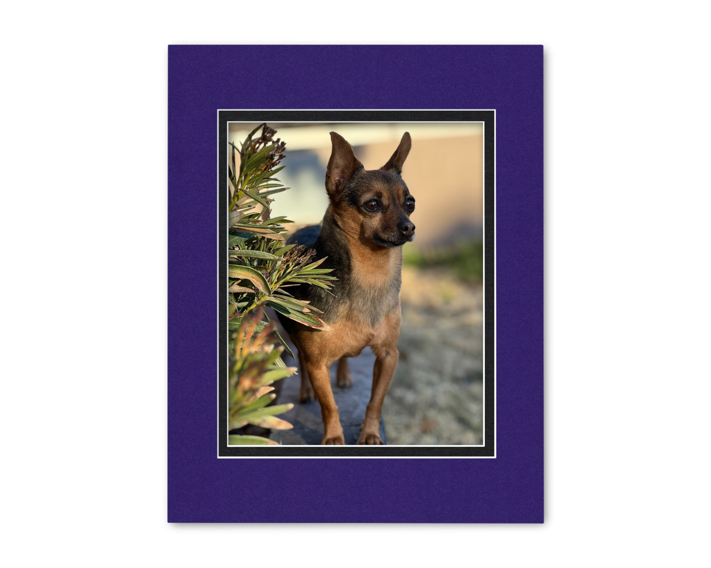 An example of what this 11x14 double mat looks like with an 8x10 photo in it.