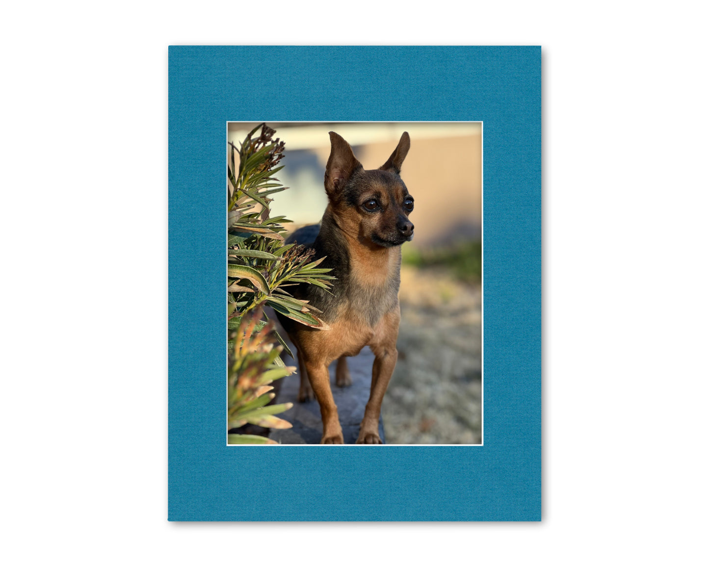 An example of our Marine Blue matboard with a photo in it.