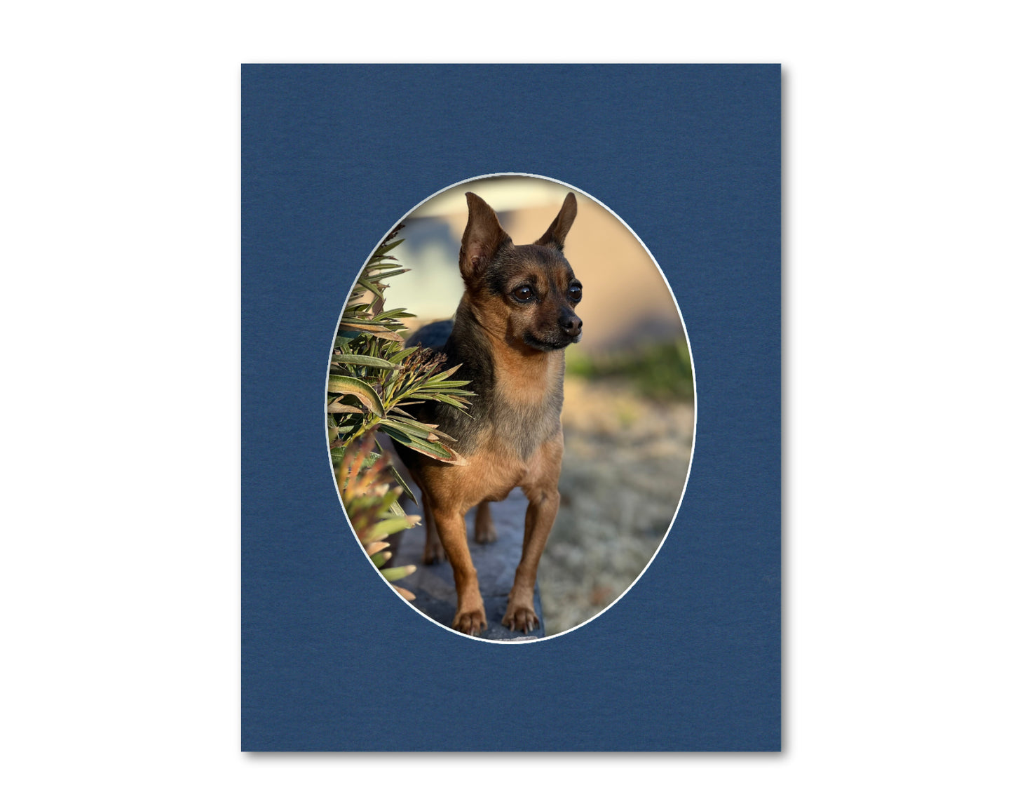 An example of what this 11x14 mat looks like with an 8x10 oval photo in it.