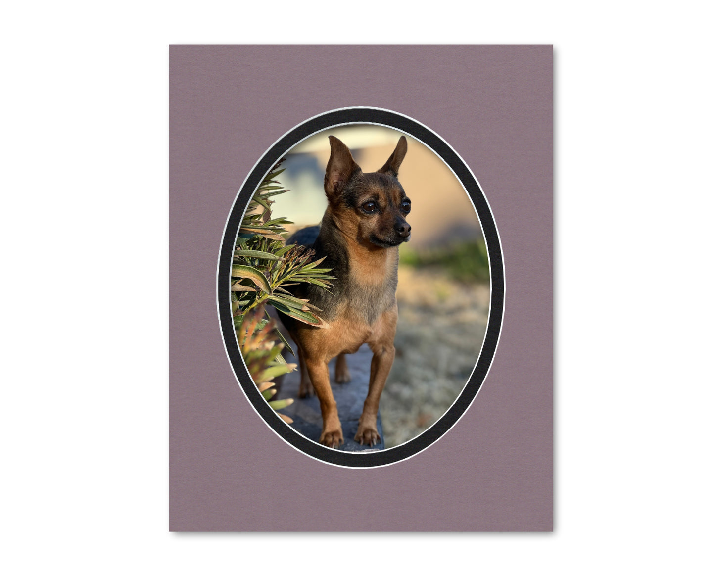 An example of what this 11x14 double mat looks like with an 8x10 oval photo in it.