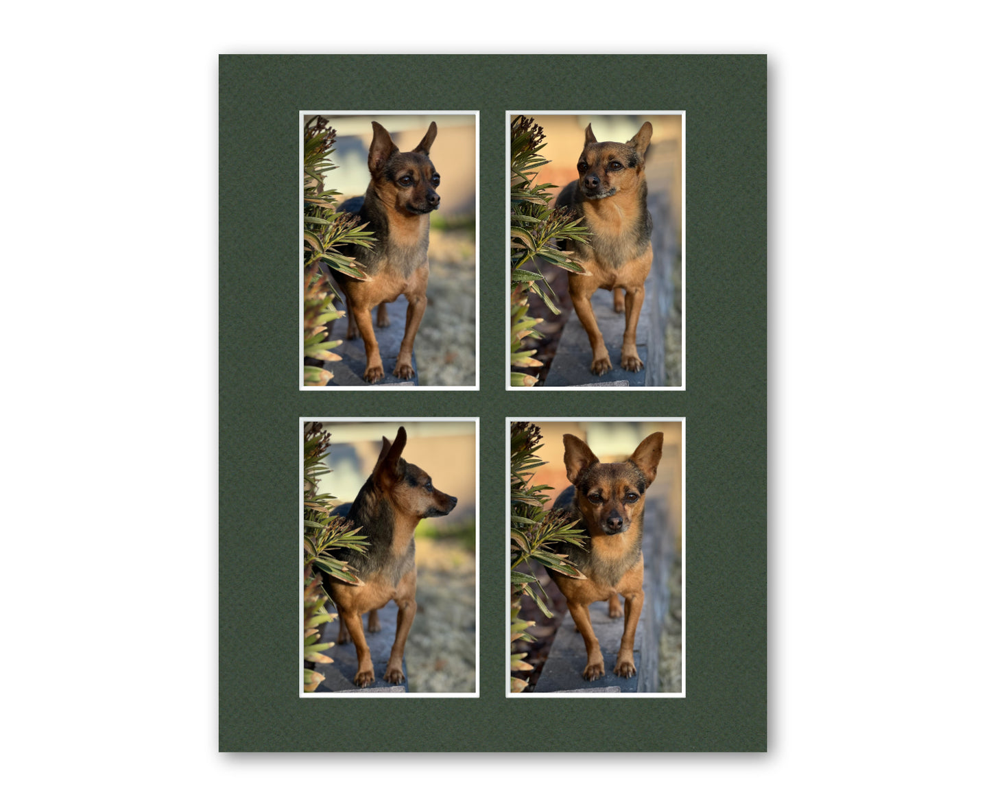 An example of what this 11x14 collage mat looks like with four 4x6 photos in it.