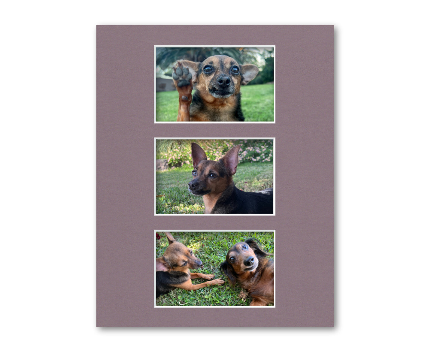 An example of what this 11x14 collage mat looks like with three 4x6 photos in it.