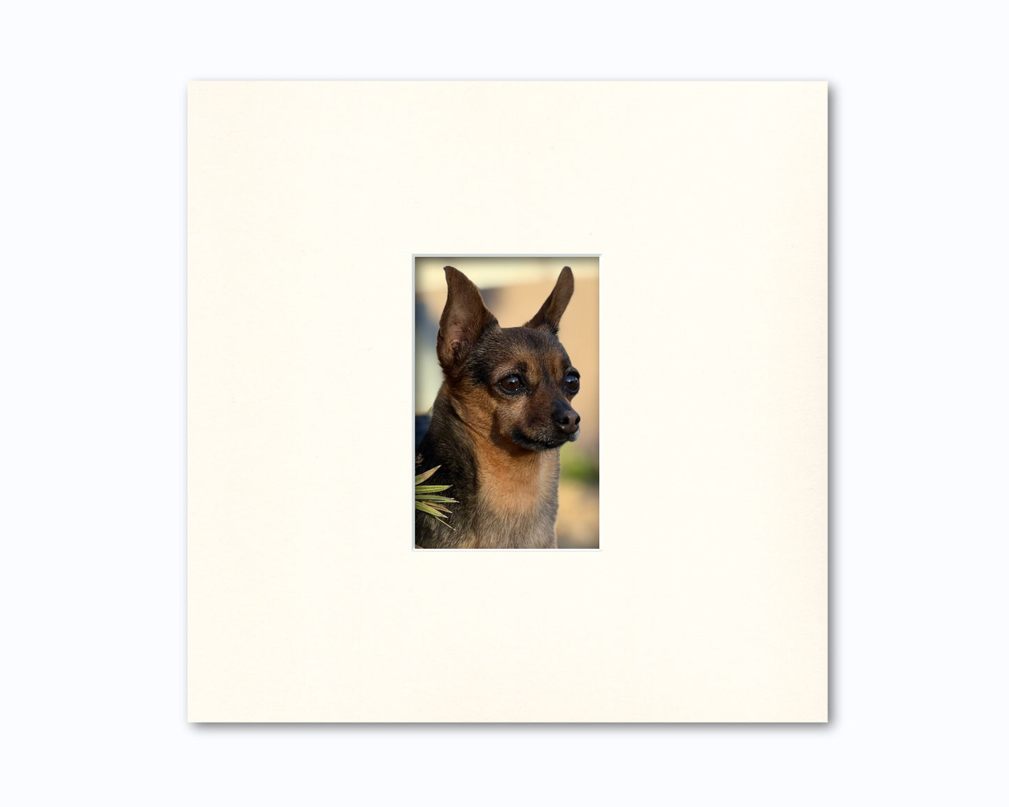 An example of what this 12x12 mat looks like with a 4x6 photo in it.