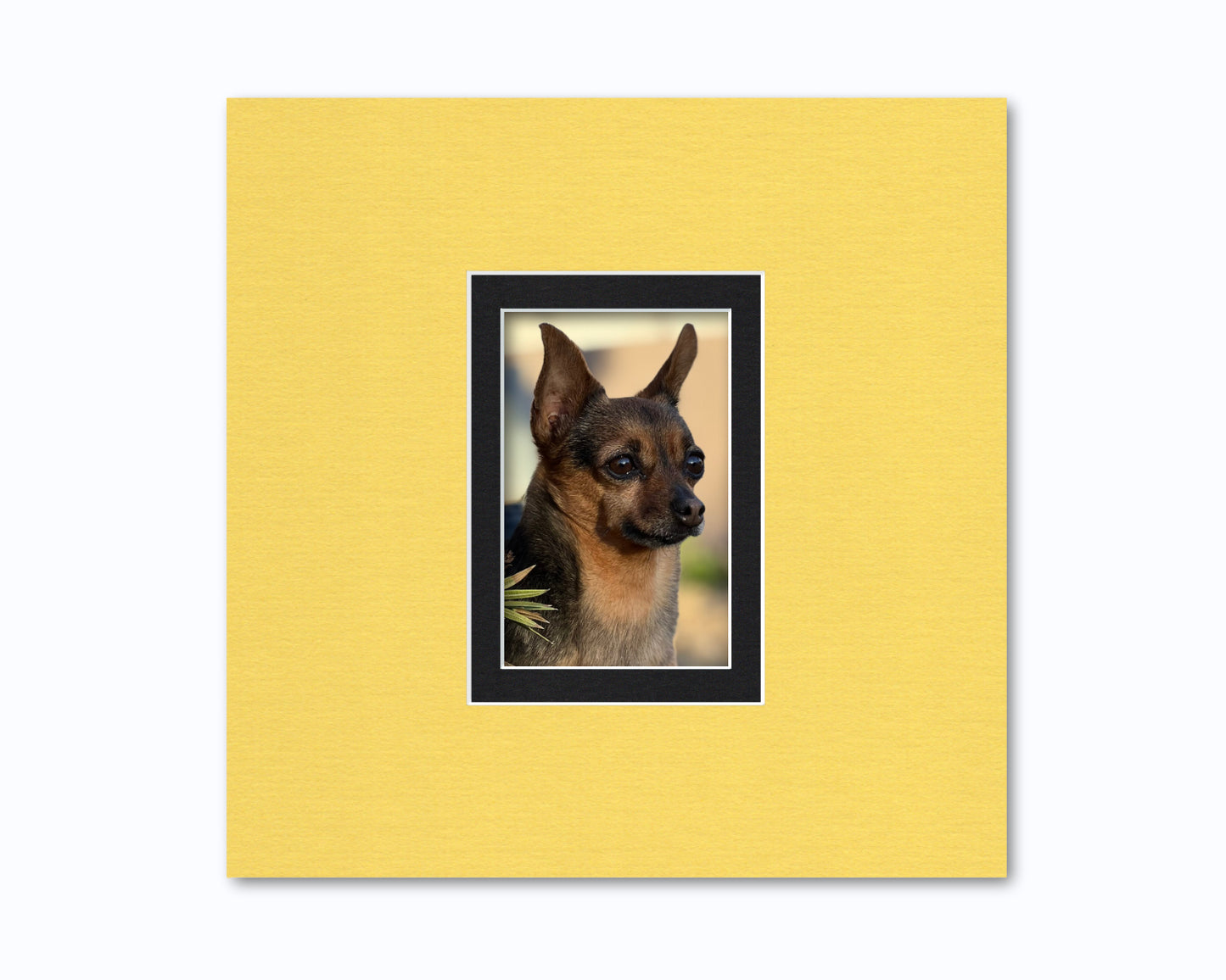 An example of what this 12x12 double mat looks like with a 4x6 photo in it.