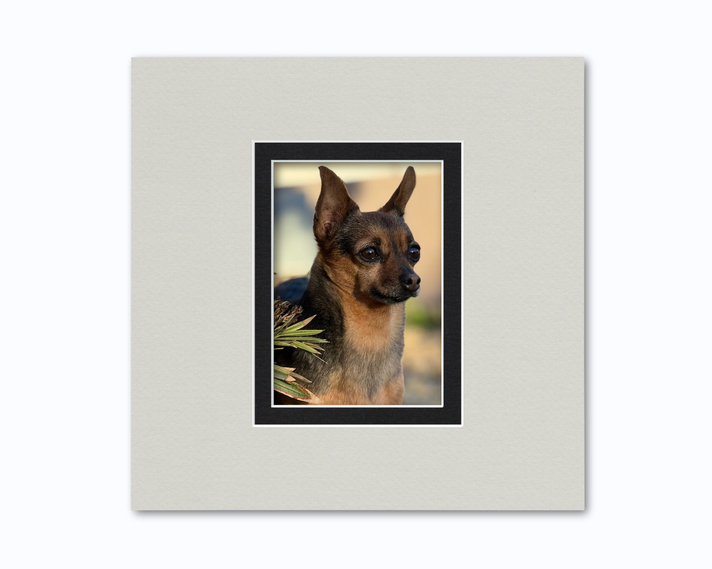 An example of what this 12x12 double mat looks like with a 5x7 photo in it.
