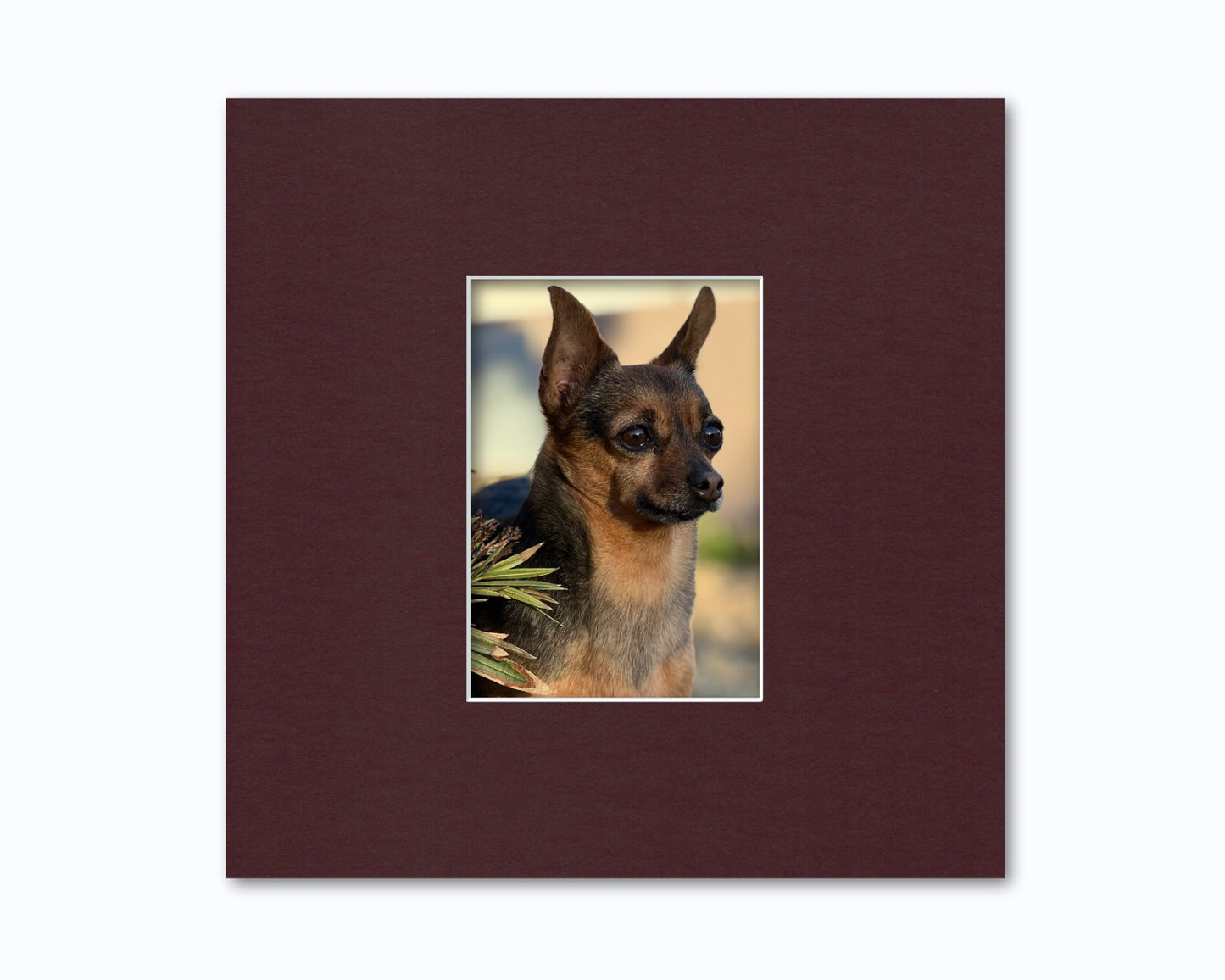 An example of what this 12x12 mat looks like with a 5x7 photo in it.