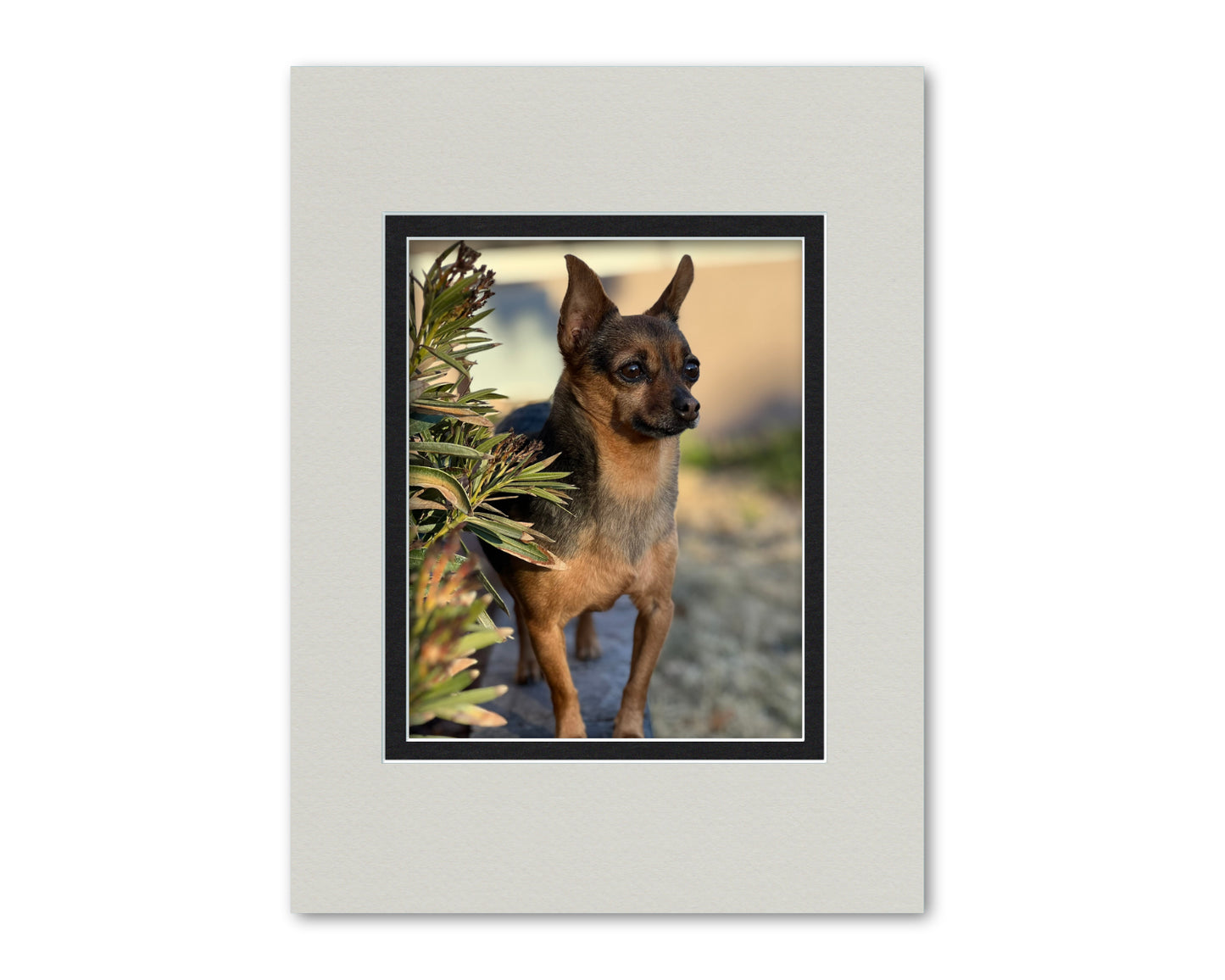 An example of what this 12x16 double mat looks like with an 8x10 photo in it.