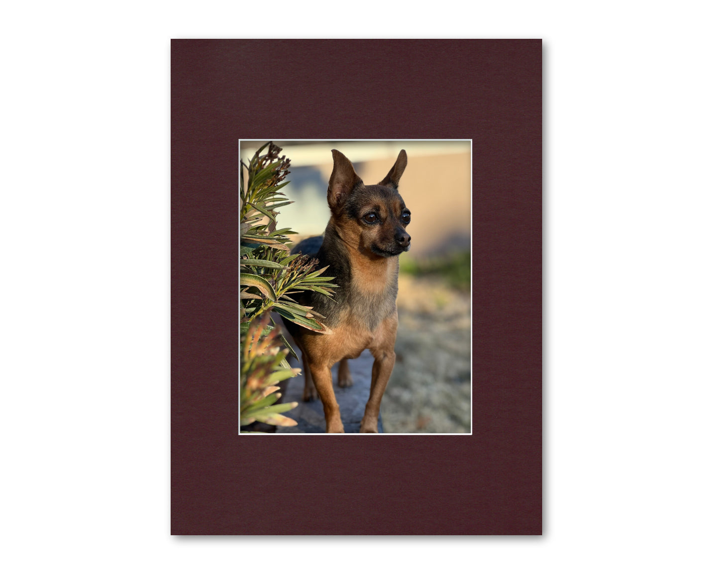 An example of what this 12x16 mat looks like with an 8x10 photo in it.