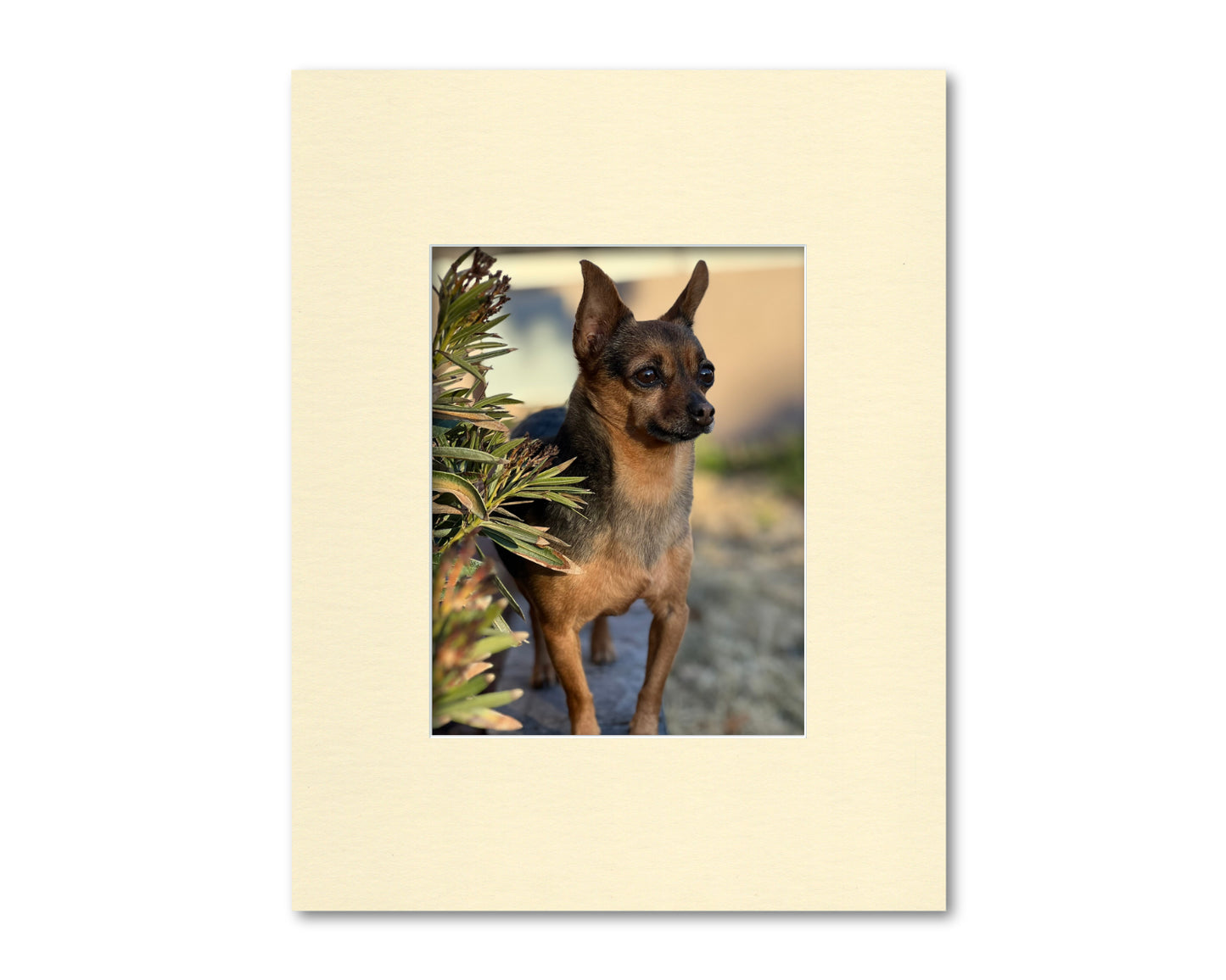 14x18 Mat for 8.5x11 Photo or Document | Premium White Core Matboard