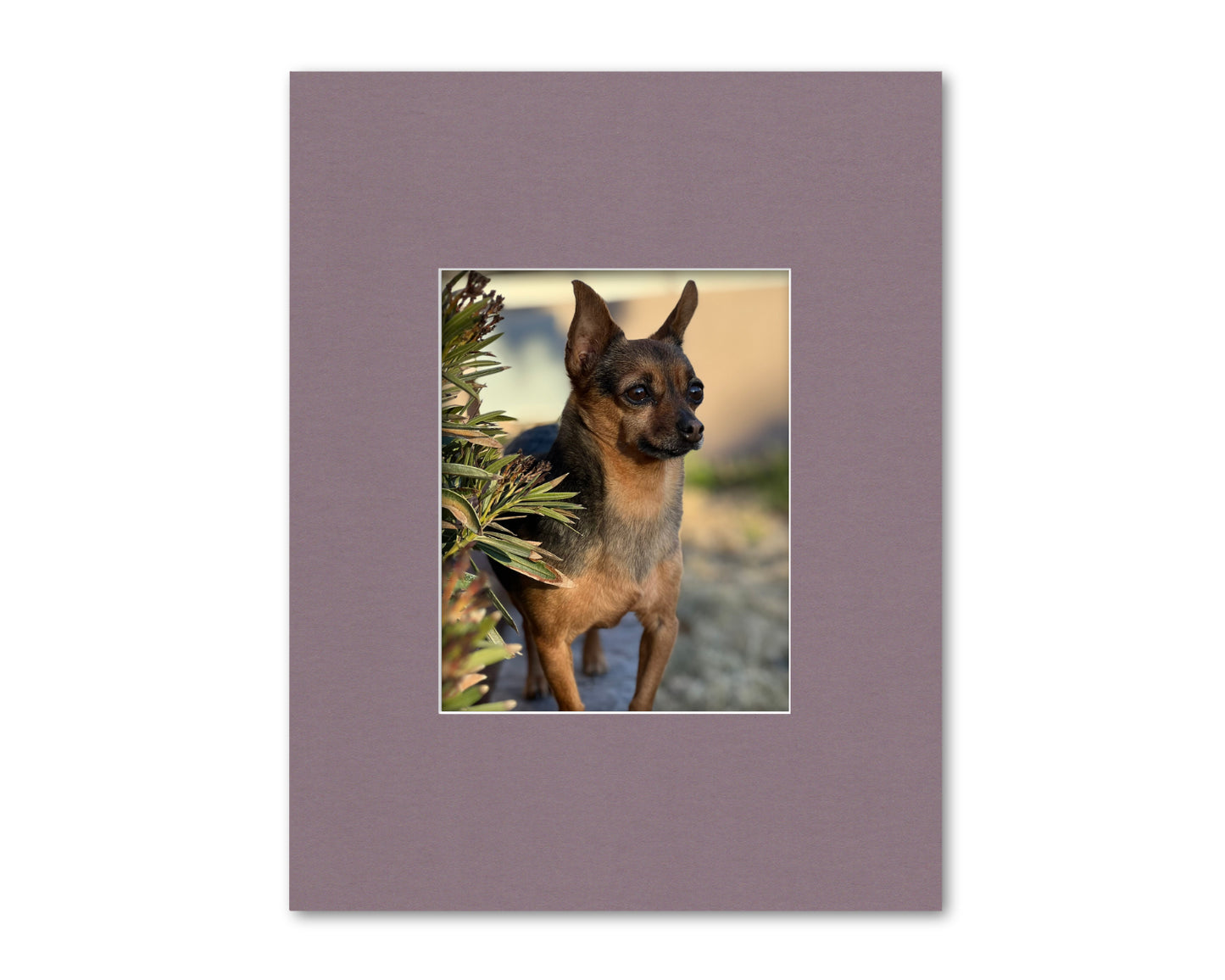 An example of what this 14x18 mat looks like with an 8x10 photo in it.