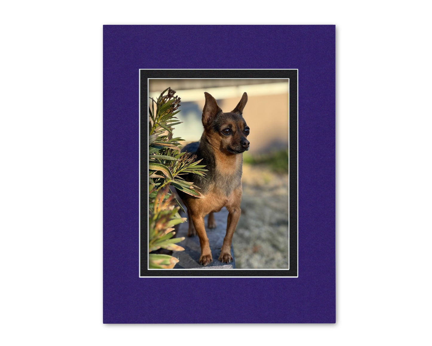 An example of what this 14x18 double mat looks like with a 9x12 photo in it.