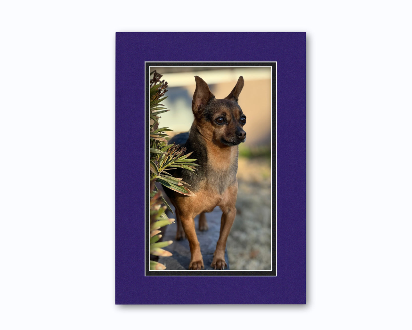 An example of what this 14x20 double mat looks like with a photo in it.