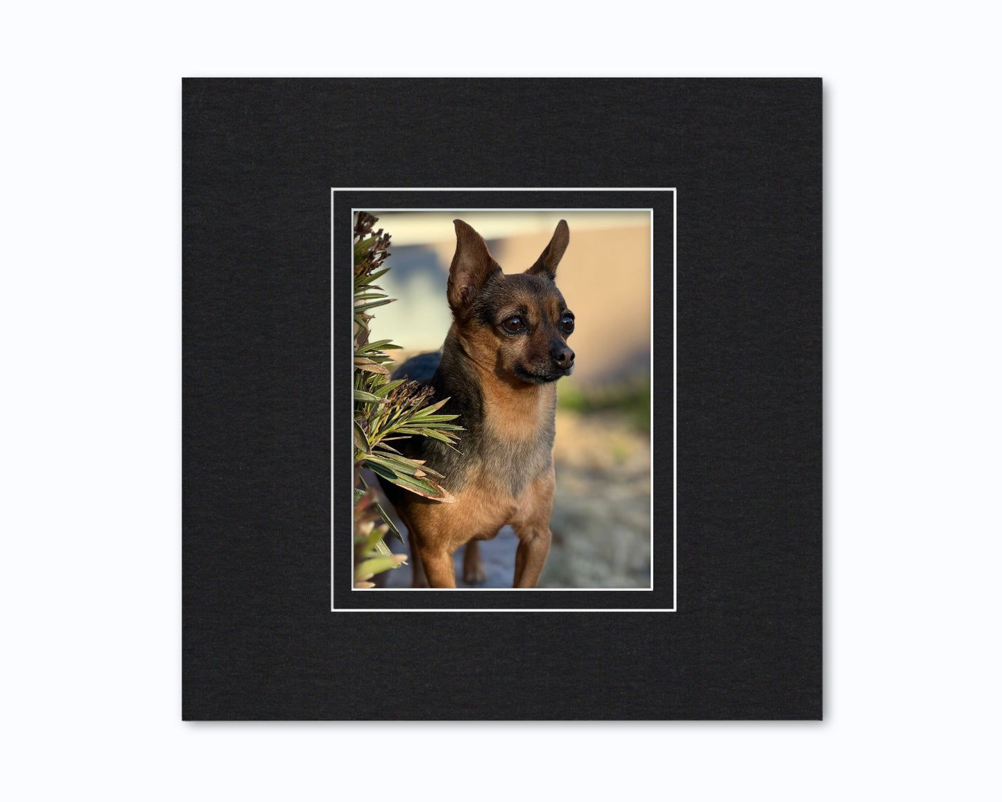 An example of what this 16x16 double mat looks like with an 8x10 photo in it.