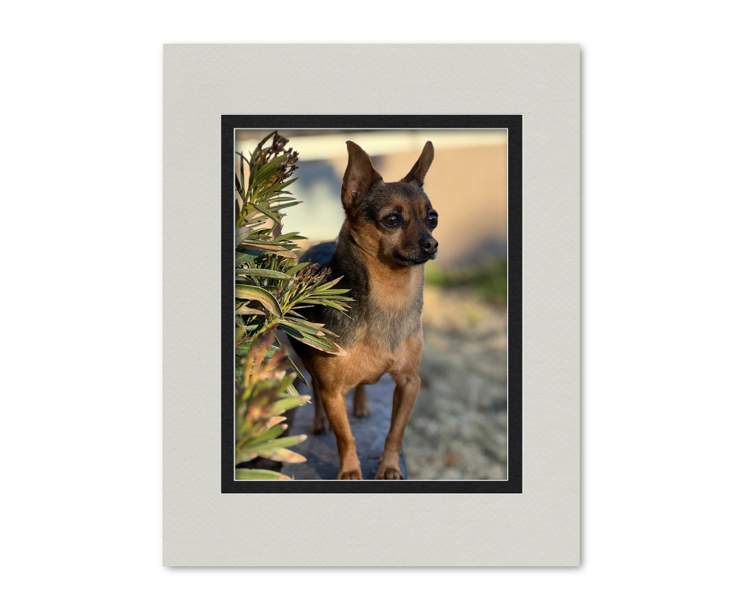 An example of what this 16x20 double mat looks like with an 11x14 photo in it.