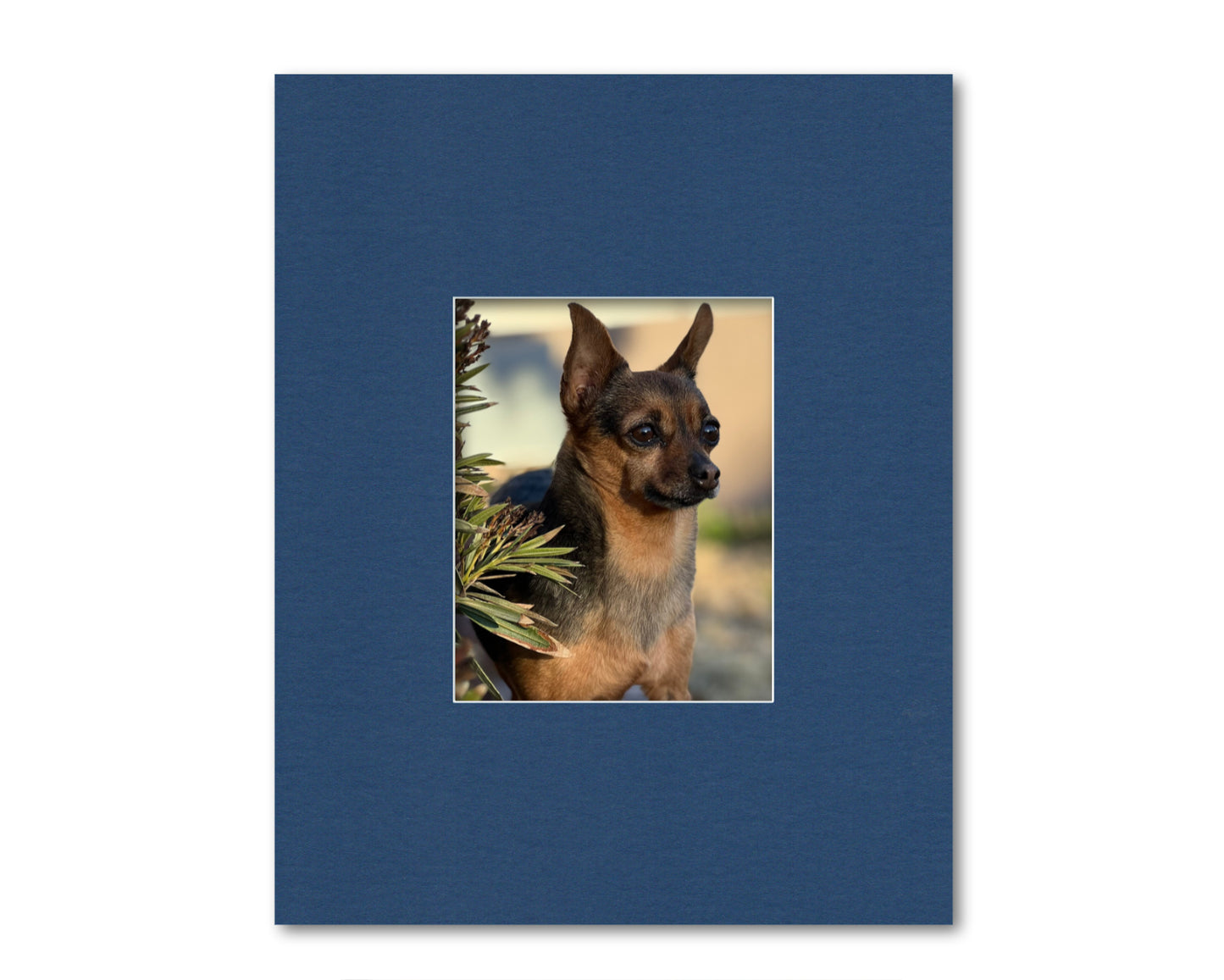 An example of what this 16x20 framing mat looks like with an 8x10 photo in it.