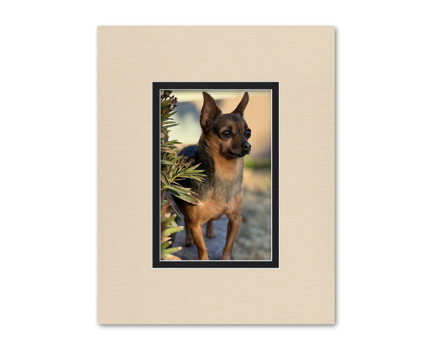 An example of what this 16x20 double mat looks like with an 8x12 photo in it.