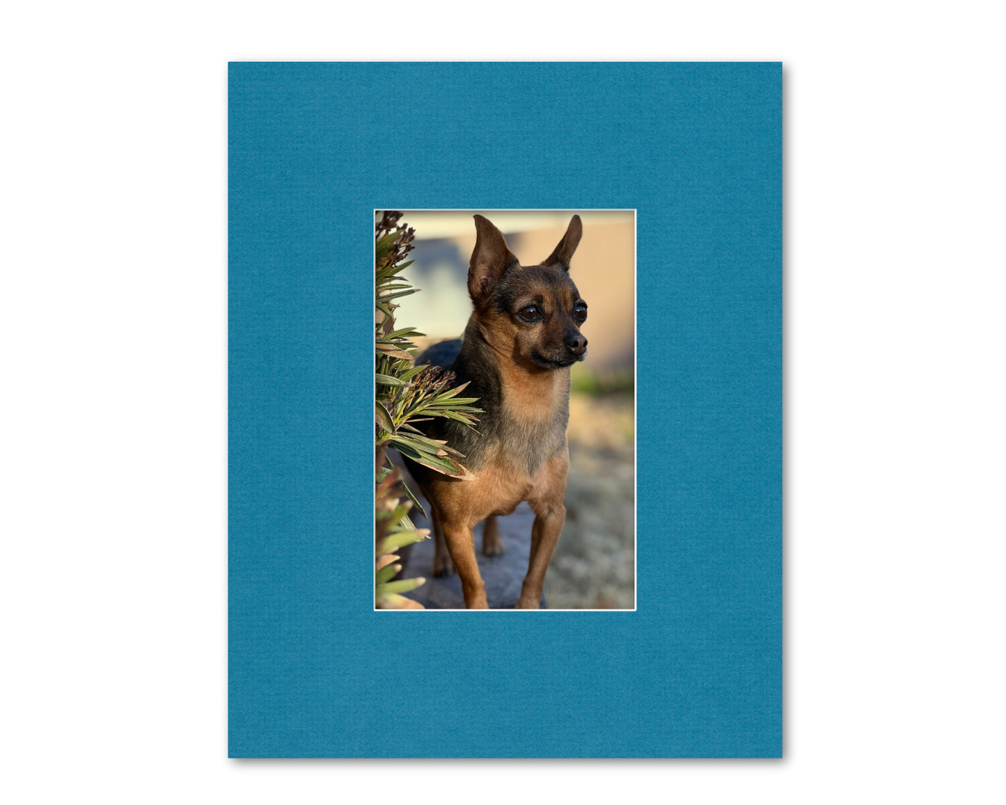 An example of what this 16x20 mat looks like with an 8x12 photo in it.