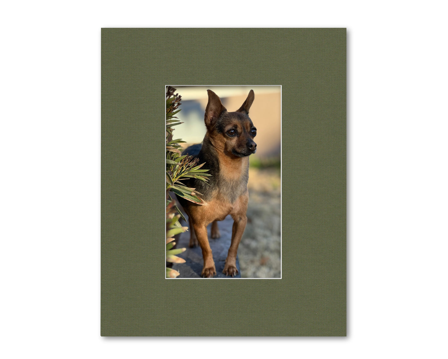 An example of what this 16x20 framing mat looks like with an 8x13 photo in it.