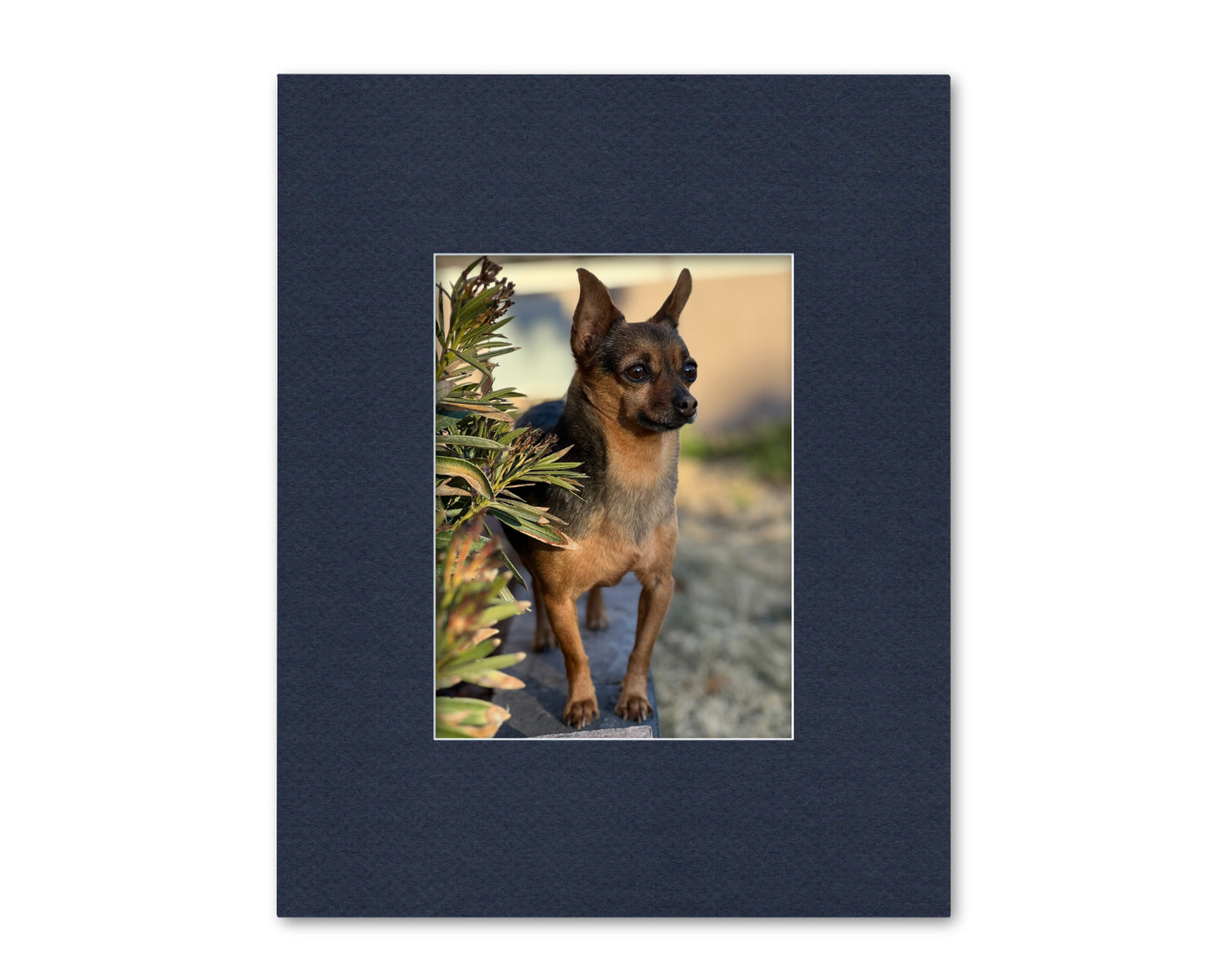 An example of what this 16x20 mat looks like with a 9x12 photo in it.