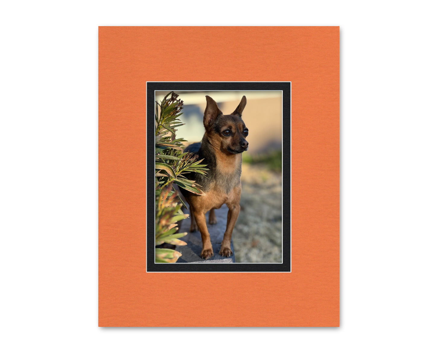 An example of what this 16x20 double mat looks like with a 9x12 photo in it.