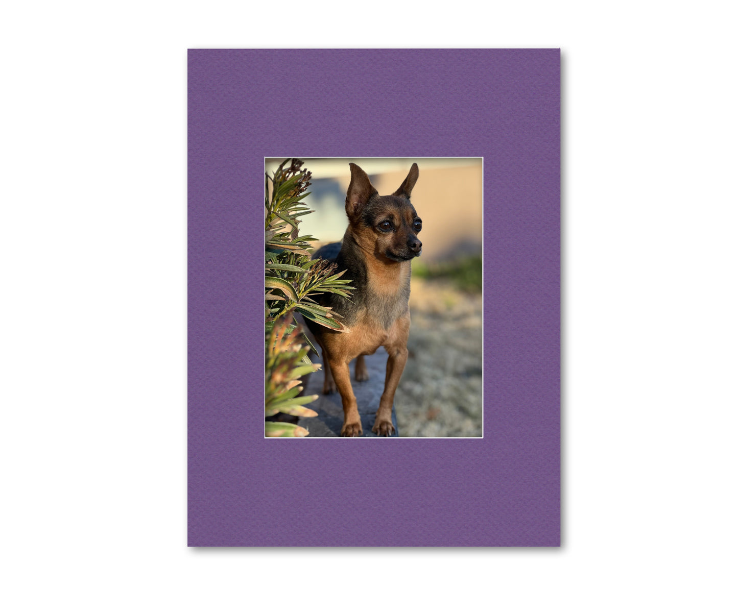 An example of what this 18x24 mat looks like with an 11x14 photo in it.