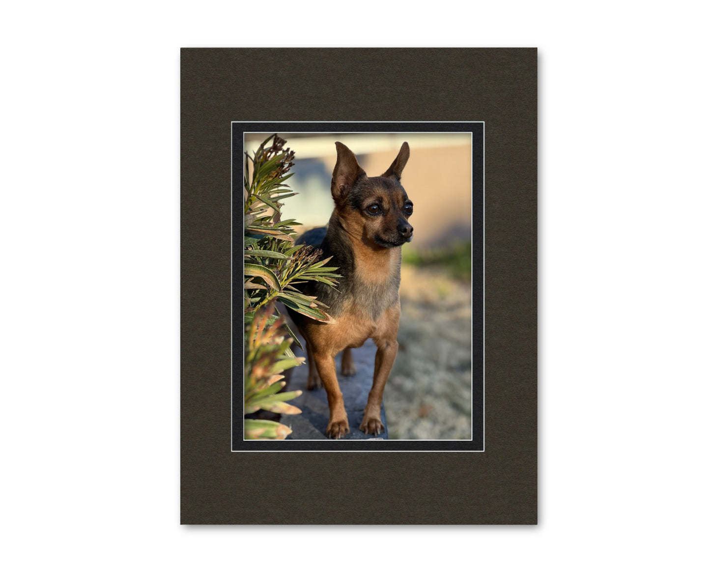 An example of what this 18x24 double mat looks like with a 12x16 photo in it.