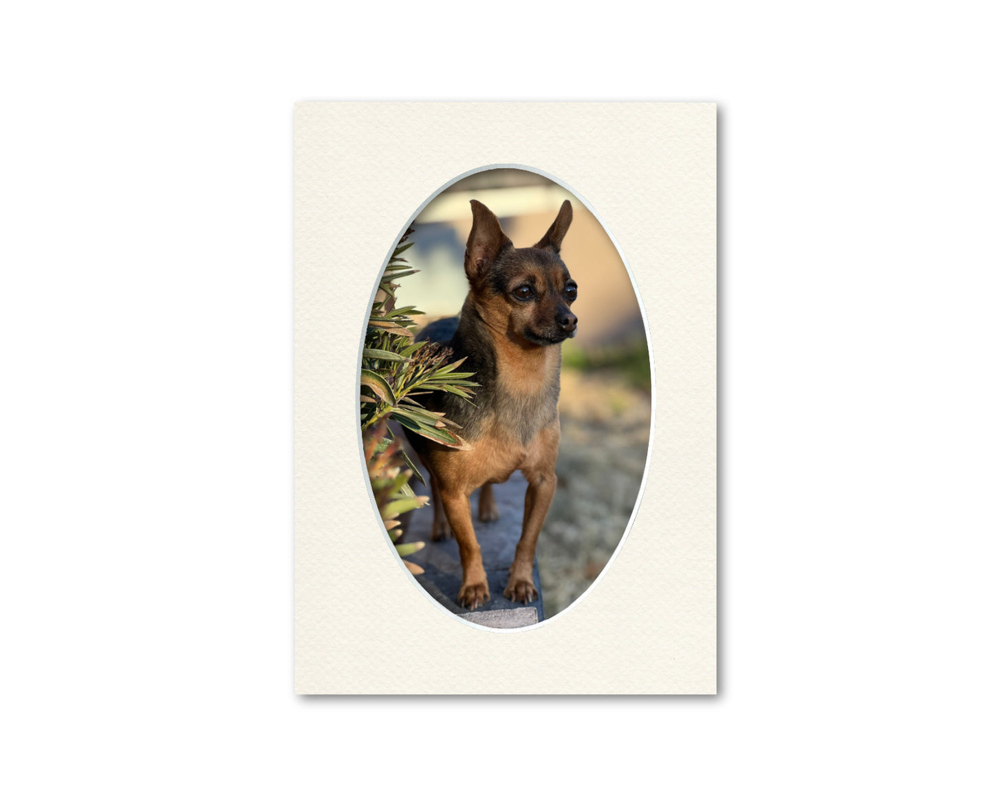 An example of what this 5x7 mat looks like with a 4x6 oval photo in it.