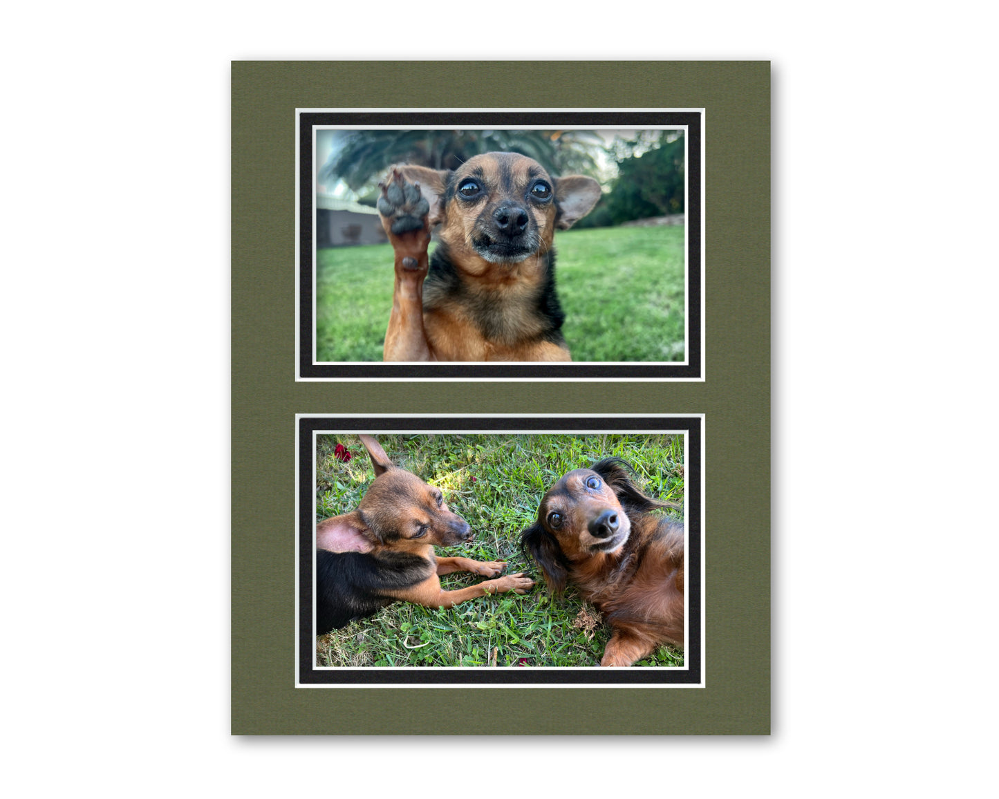 An example of what this 8x10 collage double mat looks like with two 4x6 photos in it.