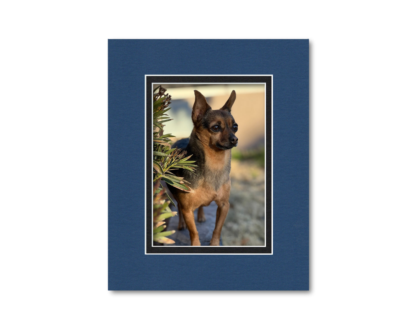 An example of what this 8x10 double mat looks like with a 5x7 photo in it.