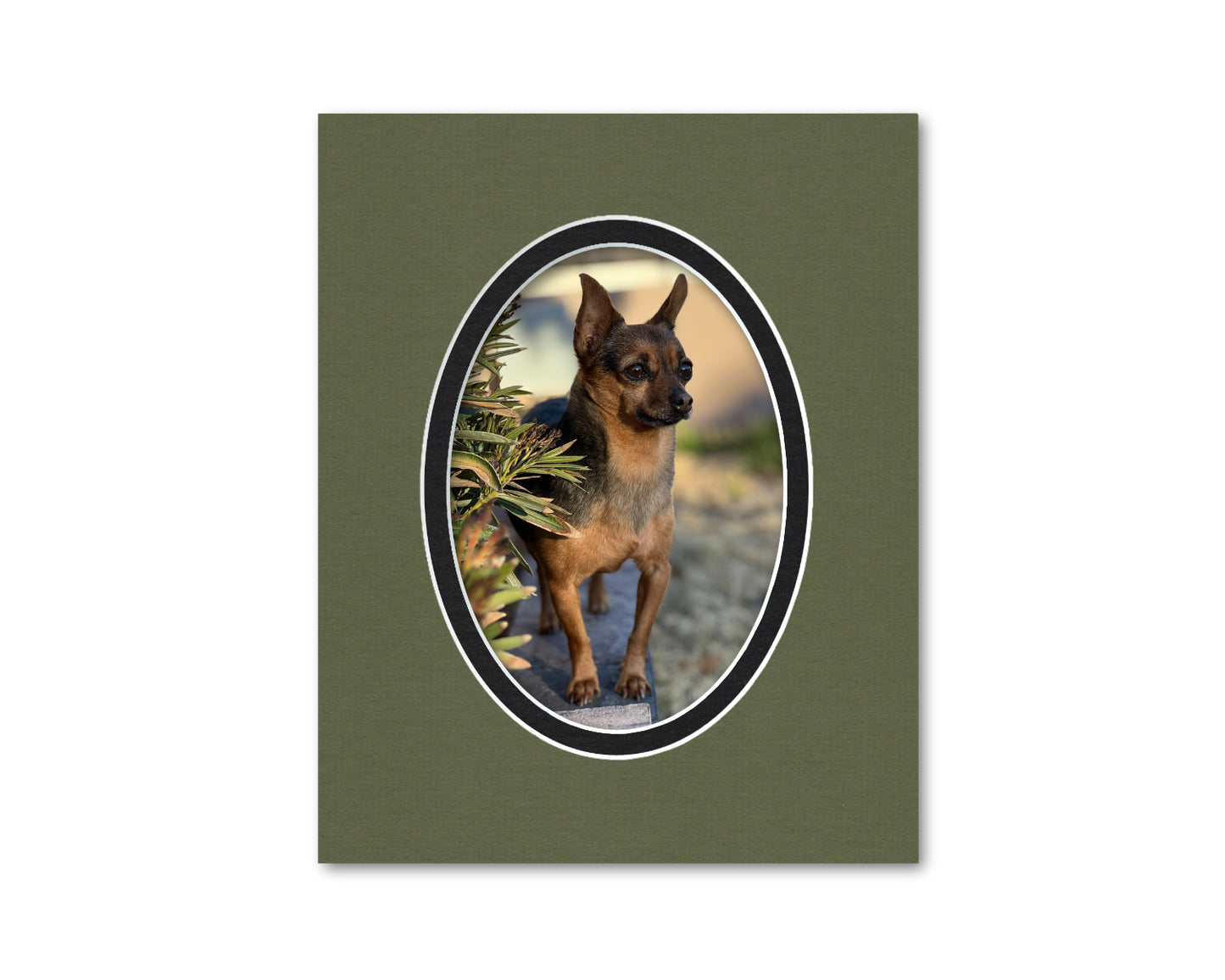 An example of what this 8x10 double mat looks like with a 5x7 oval photo in it.