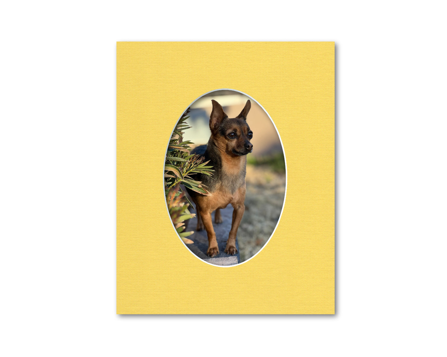 An example of what this 8x10 mat looks like with a 5x7 oval photo in it.