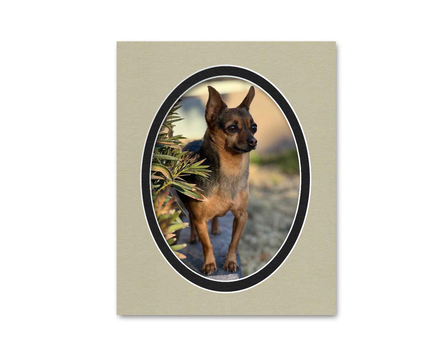 An example of what this 8x10 double mat looks like with a 6x8 oval photo in it.