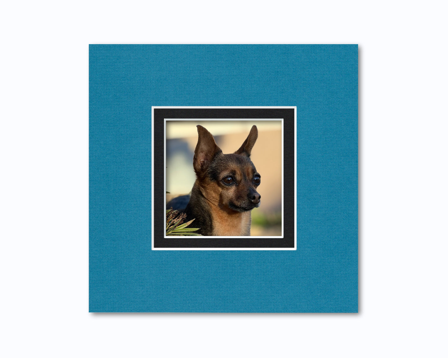 An example of what this 8x8 double mat looks like with a 4x4 photo in it.