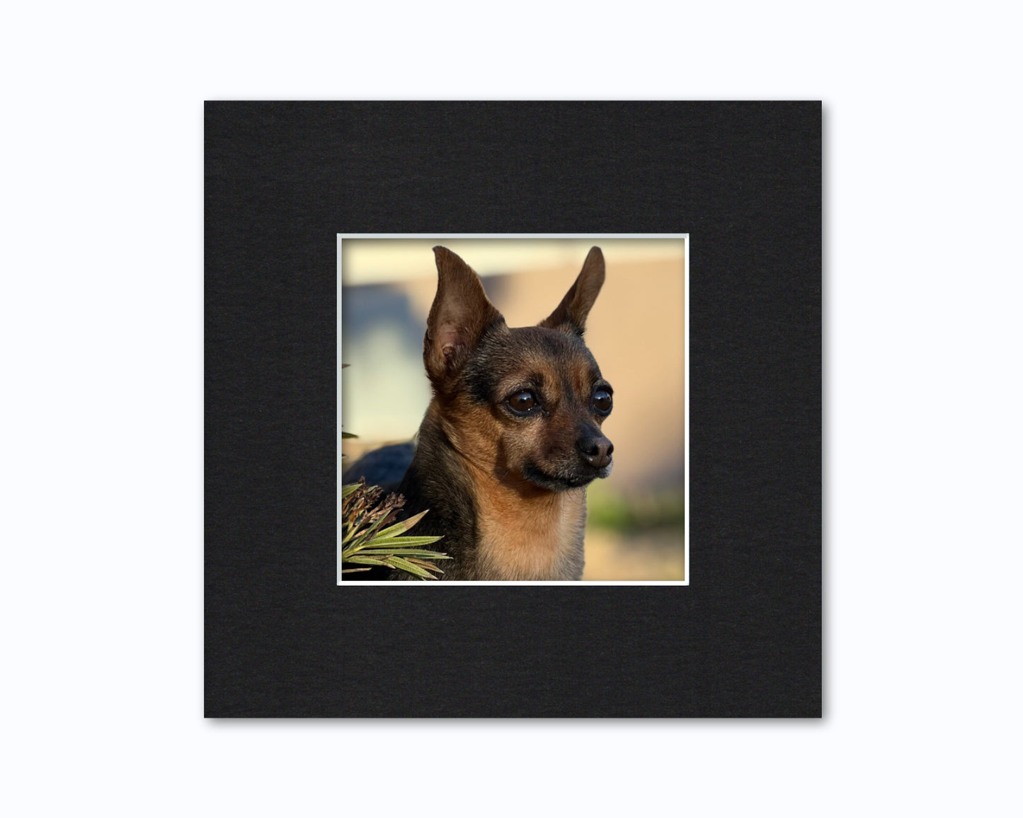 An example of what this 8x8 mat looks like with a 5x5 photo in it.