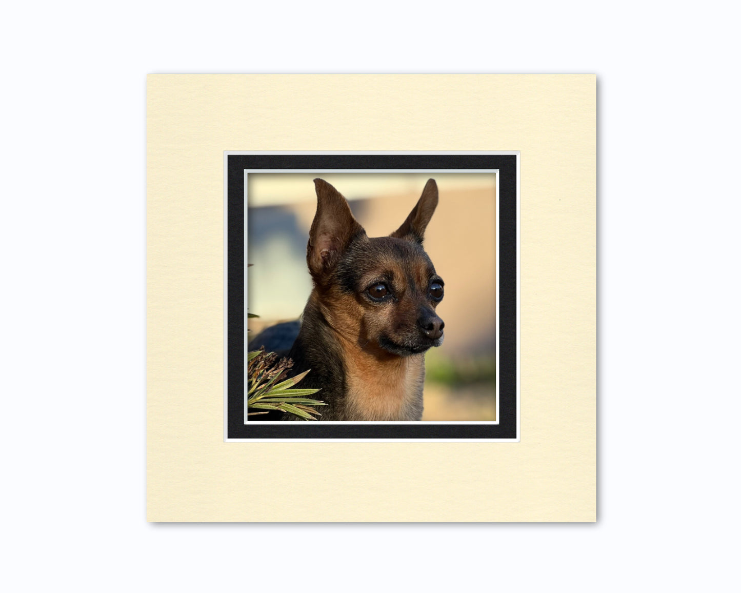 An example of what this 8x8 double mat looks like with a 5x5 photo in it.