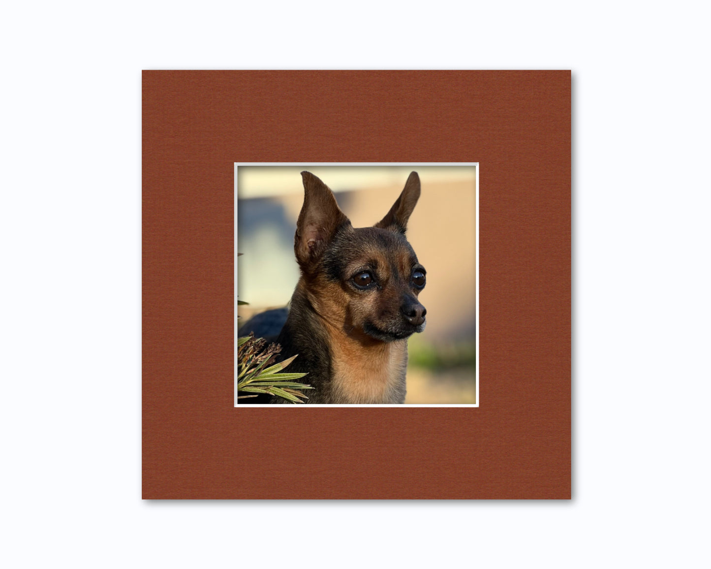 An example of what this 8x8 mat looks like with a 5x5 photo in it.