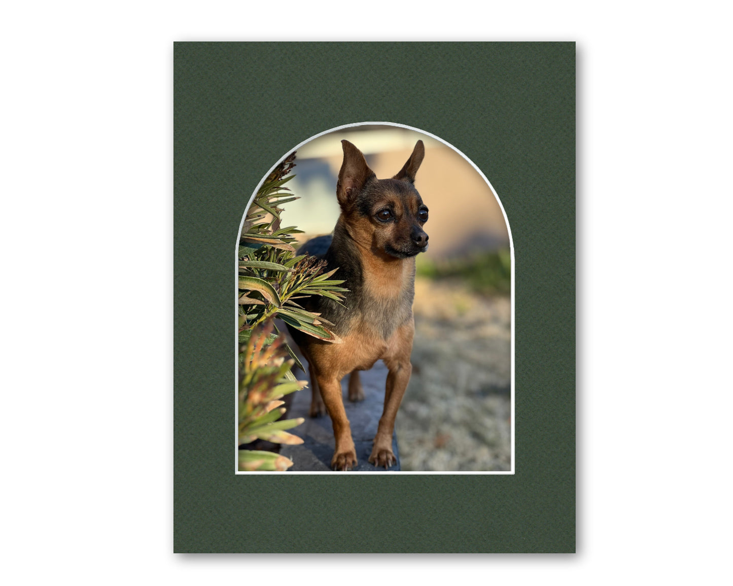 An example of what this arch opening mat looks like with a photo in it.