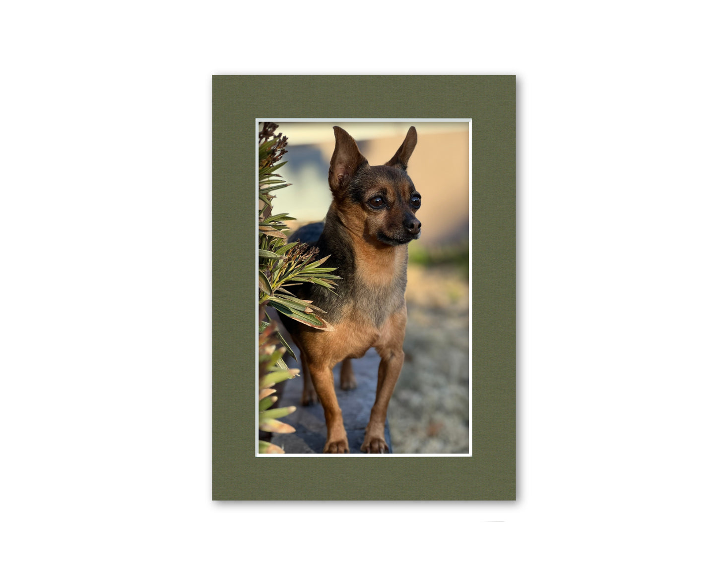 An example of what this 5x7 mat looks like with a 4x6 photo in it.