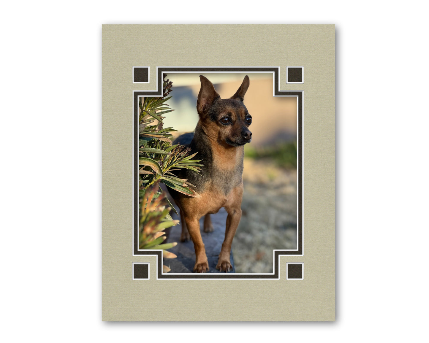 An example of what this corner squares double mat looks like with a photo in it.