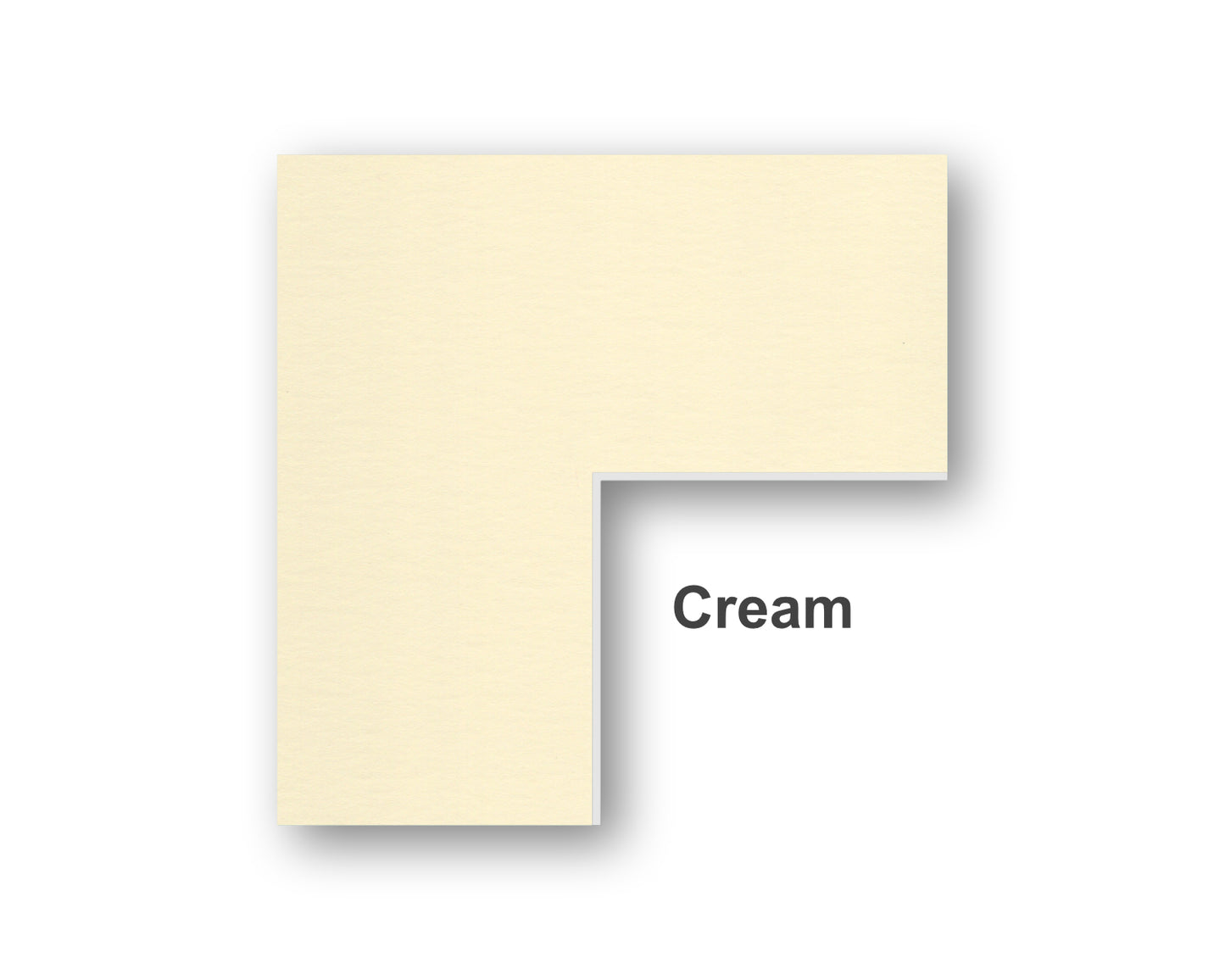 Cream Color Swatch