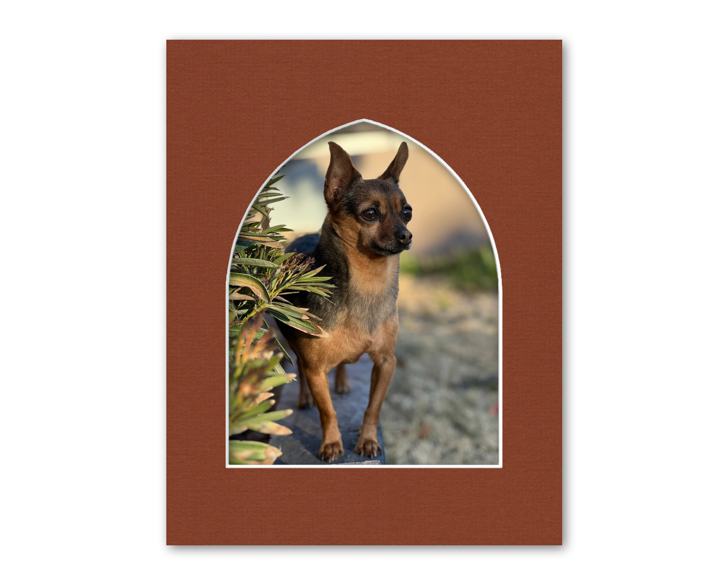 An example of what this gothic opening mat looks like with a photo in it.