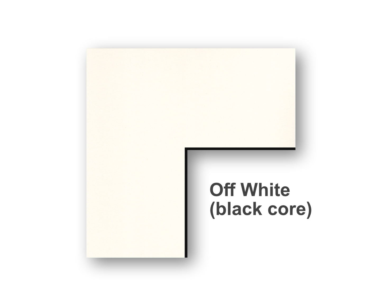 Off White Black Core Color Swatch