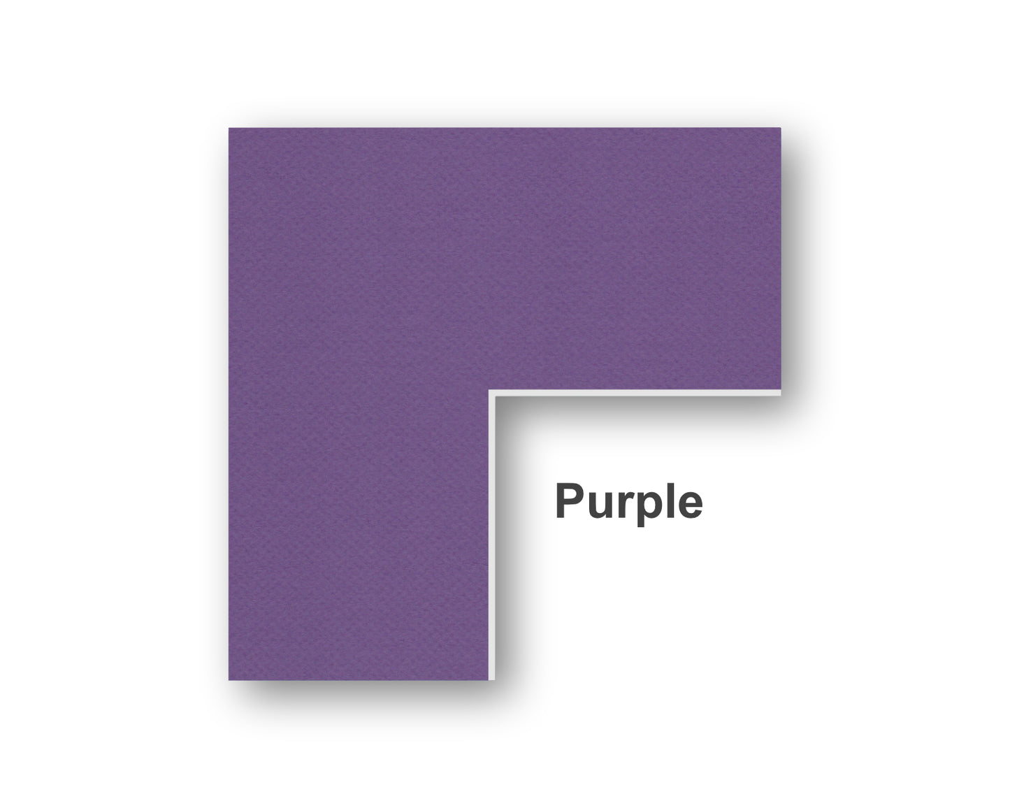 Purple Color Swatch